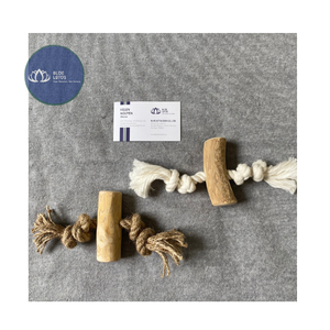 Bâtonnet à mâcher pour chien en bois de café naturel de haute qualité, écologique, durable, pour l'hygiène dentaire des animaux de compagnie - Product Image 1