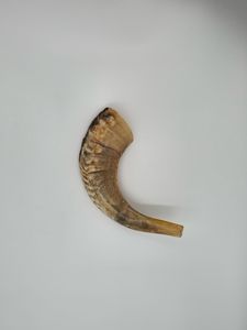 Shofar en corne de bélier semi-polie pour les acheteurs mondiaux, shofar en corne de bélier de haute qualité avec design naturel incurvé par Curio Craft - Product Image 4