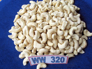 Amandes de Noix de Cajou Blanches Entières BIO USDA/UE W240 Haute Qualité Bas Prix BRC 2024 Usine HANFIMEX 0084915196568 - Product Image 5