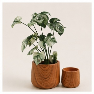 Maceta de Madera Hecha a Mano, Estilo Macetero de Madera Sólida, Florero para Decoración Interior y Exterior, Contenedor Decorativo Moderno y Minimalista - Product Image 1