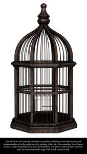 Jaula para Pájaros con Decoración Floral Metálica Mate para Colgar en el Pasillo - Product Image 6