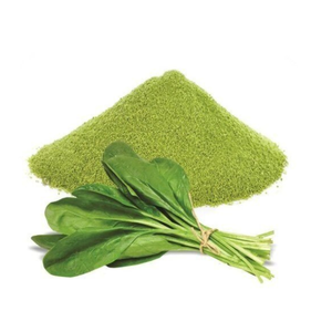 Poudre d'épinards pour soupes, assaisonnements, aliments santé et nutraceutiques - Product Image 6