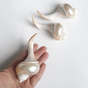 Reposapalillos de Concha Marina Pulida Ecológica Hecha a Mano en Vietnam, Artesanía Genuina para Hostelería y Servicios de Catering - Product Image 1