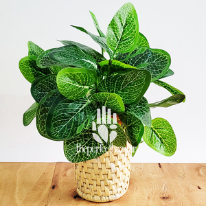 Jardinière en herbe Moonj colorée, tressée à la main, sculptée - Product Image 3