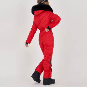 Combinaisons de ski pour femmes, style streetwear, imperméables 3000M, légères, softshell, pour la pluie et la neige, design à panneaux - Product Image 4