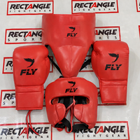 Ensemble d'entraînement de boxe Fly Boxing personnalisé avec logo, fabriqué par un fabricant professionnel