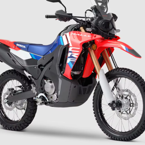 Motocyclettes de rallye CFR300l neuves d'origine, garantie usine de 24 mois, moteur sans balais - Product Image 3