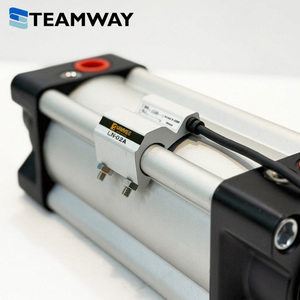 Interruptor de Sensor Magnético Serie LN de TEAMWAY, LN-01A 02A 03A, para Cilindro, Compatible con Airtac DMSG / SMC D-A93 Series - Product Image 2