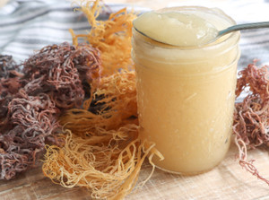 Algues marines - Algues marines de la meilleure qualité Eucheuma Cottonii Seamos Jamaïque Irishmoss en provenance de la mer de Ninh Thuan au Vietnam /Serena - Product Image 6