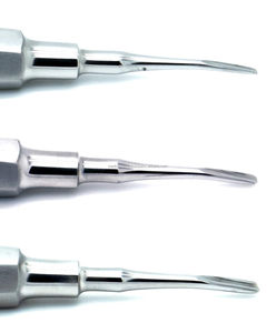 Juego de 8 Elevadores Dentales para Extracción de Raíces, Instrumentos de Luxación Perióstica y Apical, Certificación CE ISO, Proveedor Mayorista - Product Image 4