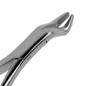 Forceps d'extraction dentaire # Instrument d'extraction chirurgical à mâchoires dentelées 10S en acier inoxydable, poignée ergonomique, manuel, CE - Product Image 4
