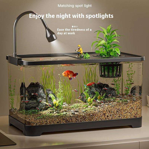 Best Seller Small Luxury Plastic Desktop <b>Fish</b> Tank with Transparent Lid Eco-Friendly 50L Aquarium for Goldfish and Turtle - Product Image 5