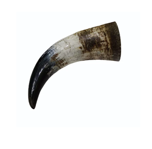 Buffalo Viking Horn Premium Quality <b>Cheap</b> Price Buffalo Viking Horn Drinking <b>Set</b> Handcrafted - Product Image 1
