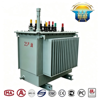 Transformador de Potencia Trifásico de Baja Pérdida, Sumergido en Aceite, 500kVA, 10kV-400V, 50/60Hz, para Uso en Exteriores, para Pequeñas Fábricas