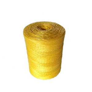 Heavy Duty Binding Material Engineered For Cargo PE Pp Twine Fastening Construction Projects Farming Greenhouse Tying - Product Image 3