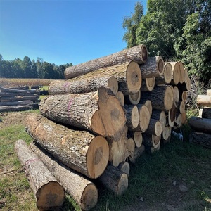 Bois de chêne rouge/blanc d'Europe de première qualité pour le chauffage domestique et l'utilisation industrielle en combustible, à prix négociable - Product Image 5