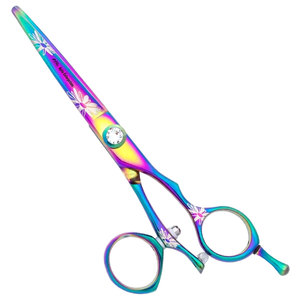 กรรไกรตัดผม Rainbow Daisy Swivel ขนาด 6.0 นิ้ว ผลิตจากเหล็ก 440C ขายส่งราคาพิเศษ อุปกรณ์ทำผมมืออาชีพสำหรับช่างตัดผมและเสริมสวย - Product Image 1