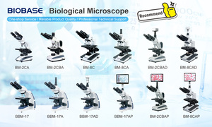 กล้องจุลทรรศน์ Biobase Good Price กำลังขยาย 380 เท่า พร้อมระบบกล้องสี รุ่น WXH-8 กล้องจุลทรรศน์พร้อมไฟ LED สำหรับห้องปฏิบัติการ - Product Image 3