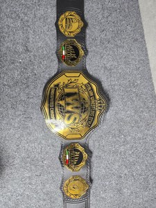 เข็มขัดแชมป์มวยปล้ำ IWS MMA โลโก้สีทอง รางวัลถ้วยรางวัลส่วนบุคคล ทำจากโลหะผสมสังกะสี น้ำหนักเบา รุ่นเอวสูง รางวัลแชมป์เปี้ยน - Product Image 3