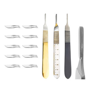 Manípulo Profesional Manual para Dermaplaning con Bisturí, 3 Piezas B.P. # Regla Quirúrgica de 3 Pulgadas con 10 Cuchillas Estériles para Cirugía - Product Image 1