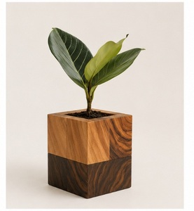 Jardinière cubique en bois de manguier, artisanale, moderne et luxueuse, écologique, bicolore, géométrique, pour bureau, personnalisable, vente en gros - Product Image 1