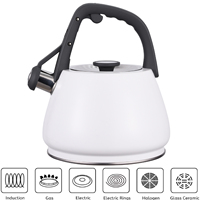 Bouilloire sifflante en acier inoxydable 2,7 L pour la cuisine, avec peinture colorée, théière