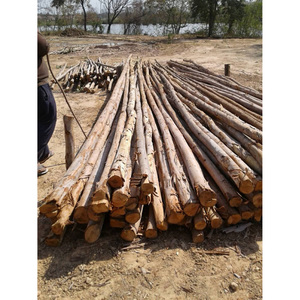 Troncos de Madera Natural, Postes de Madera Maciza, Ideales para Soporte Estructural, Jardinería y Proyectos Agrícolas - Product Image 4