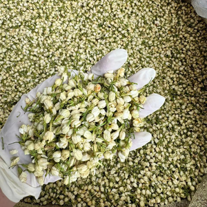 Capullos de Jazmín Secos de Origen Vietnamita, Alta Calidad, MOQ Bajo para el Primer Pedido - Product Image 1