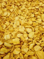 [Hot Sell 2025] Vietnamese Knapperige JACKFRUIT CHIPS Natuurlijke Zoetheid Gezonde GEDROOGDE JACKFRUIT SNACK Bulk Vacuümverpakt Klaar om te eten