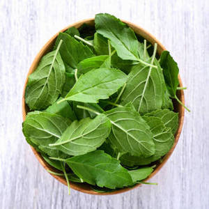 Nouvelles feuilles de basilic indien pour une cuisine d'inspiration méditerranéenne, herbes aromatiques séchées pour les entreprises culinaires - Product Image 1