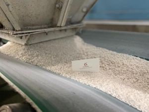 ข้าวหอมมะลิ ริซ เพอร์ฟูม 5% ข้าวหัก เมลิน่า ผลิตแบบ OEM - Product Image 5