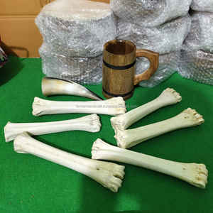 Medio Tubo de Hueso de Búfalo Blanco Natural de Primera Calidad para Artesanías Tradicionales y Artesanías Vikingas al Mejor Precio - Product Image 2