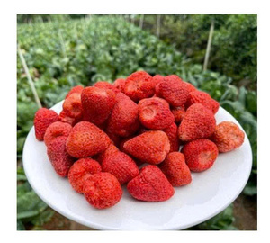 สตรอว์เบอร์รีอบแห้งทั้งลูก ขนมผลไม้หวานกรอบ สีแดงธรรมชาติ จัดจำหน่ายจำนวนมากจากเวียดนาม แบรนด์ 99GD - Product Image 1
