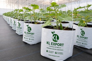 Bloque de Sustrato Biológico de Fibra de Coco KL EXPORT, 11 kg, Medio de Cultivo para Plantas, Alta Aireación y Retención de Agua, Orgánico y Ecológico - Product Image 4