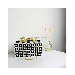 Bolso de mano de resina de diseño de alta calidad Bolso de fiesta elegante y duradero para mujer Disponible al mejor precio de la India - Product Image 1