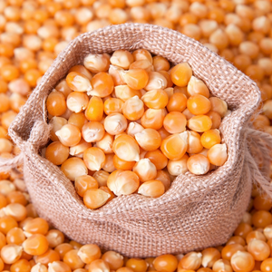 GRANOS DE MAÍZ AMARILLO SECOS TOTALMENTE NATURALES, PERFECTOS PARA POPCORN, GRISSAS DE MAÍZ Y PROCESAMIENTO DE ALIMENTOS/ SRA. ALINA - Product Image 1