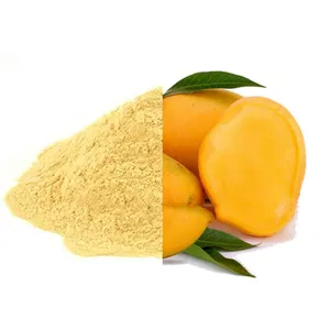 Poudre de mangue déshydratée de qualité supérieure, naturelle et pure, provenant du Rajasthan, Inde, export en vrac à prix de gros - Product Image 1
