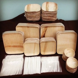 Eco Friendly Palm Leaf <b>Plates</b> 8 Inches Square <b>Disposable</b> Tableware for Birthdays and Gathering <b>Plates</b> Pack of 25 Pieces Food Use - Product Image 1