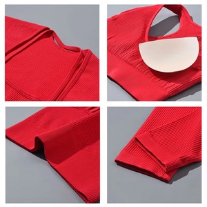 Conjunto Deportivo de 2 Piezas para Mujer, sin Costuras, para Gimnasio, Fitness, Ejercicio, Material Spandex/Nylon, Cintura Media, Logotipo Frontal - Product Image 5