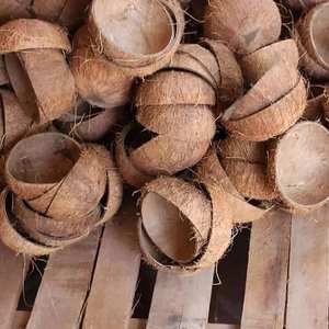 Ensemble de vaisselle classique vietnamien en noix de coco, cuillère écologique pour servir la soupe et les nouilles, fabricant direct, prix de gros, personnalisable - Product Image 6