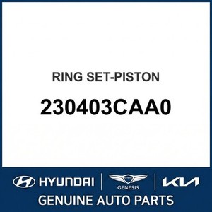 Carnival New Pistons & Rings 230403CAA0 - Product Image 1
