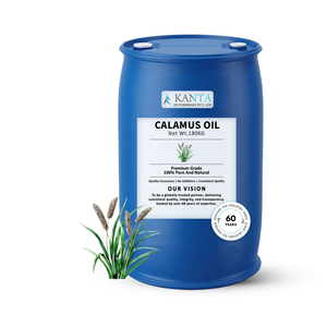 Aceite de Calamus de Alta Calidad, Aceite Esencial de Raíz de Acorus calamus, Fabricante Mayorista, Exportador, Proveedor de Marca Privada, India - Product Image 3