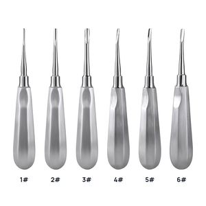 Elevadores Dentales de Acero Inoxidable de Alta Calidad, Estilo Superior, Ligeros, Económicos, Personalizables, de Última Tendencia - Product Image 3
