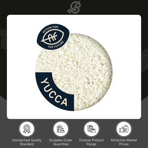 Lettiera per Gatti in Cassava 100% Naturale Blutive, Agglomerante, di Lunga Durata e Ultra-Immondizie, 6L, per Gatti Sensibili, di Qualità Superiore - Product Image 4