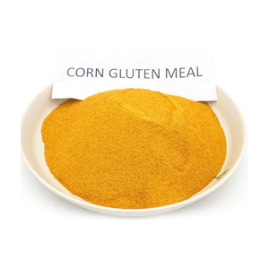 Farine de Gluten de Maïs Jaune pour Alimentation Animale 60% en Gros - Product Image 1
