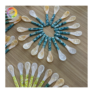 Mother of Pearl Spoon OEM Custom Logo Private Label Service, Long Handle Spoon Wholesale Luxury <b>Shell</b> Utensil for Gifts Dining - Product Image 1