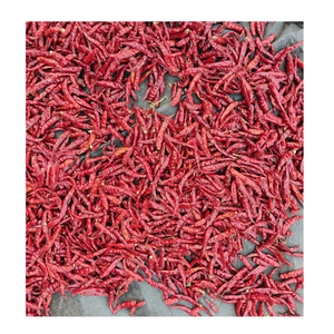 Piments rouges séchés en gros pour la production de poudre de chili et la préparation de mélanges d'épices - Product Image 6