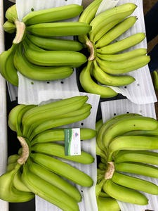 Plátanos Cavendish de primera calidad de Vietnam para exportación, ricos sabores y textura suave, envasados para supermercados y distribuidores - Product Image 6