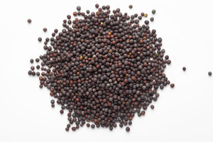 Graines de moutarde jaunes et noires non-OGM de qualité supérieure, fournisseur en gros pour l'alimentation des poissons et l'extraction d'huile pour la transformation alimentaire - Product Image 6