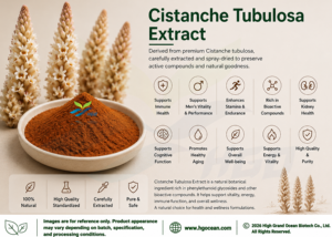 Approvisionnement direct de l'usine HGO en extrait naturel pur de Cistanche Tubulosa (qualité alimentaire) spécification 10:1 (extrait de rapport) - Product Image 2